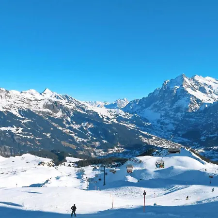 Engelshues By Interhome Grindelwald