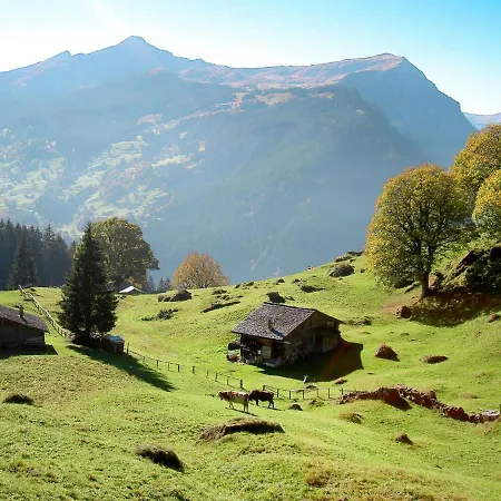 Daire Engelshues By Interhome